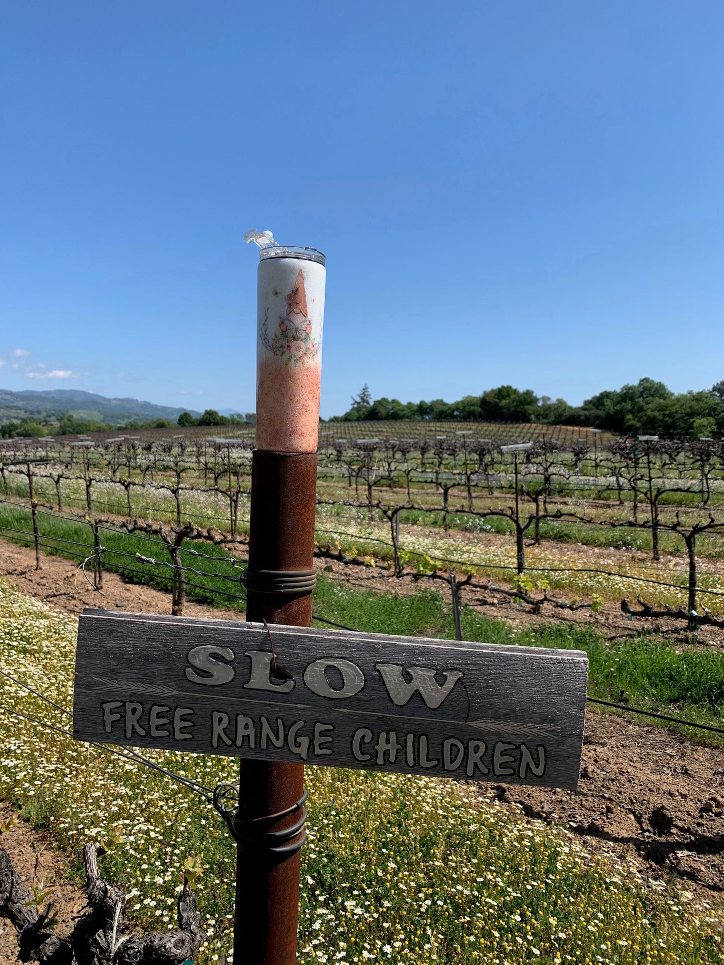 Spring Gnome 20 oz. stainless steel tumbler with lid and straw